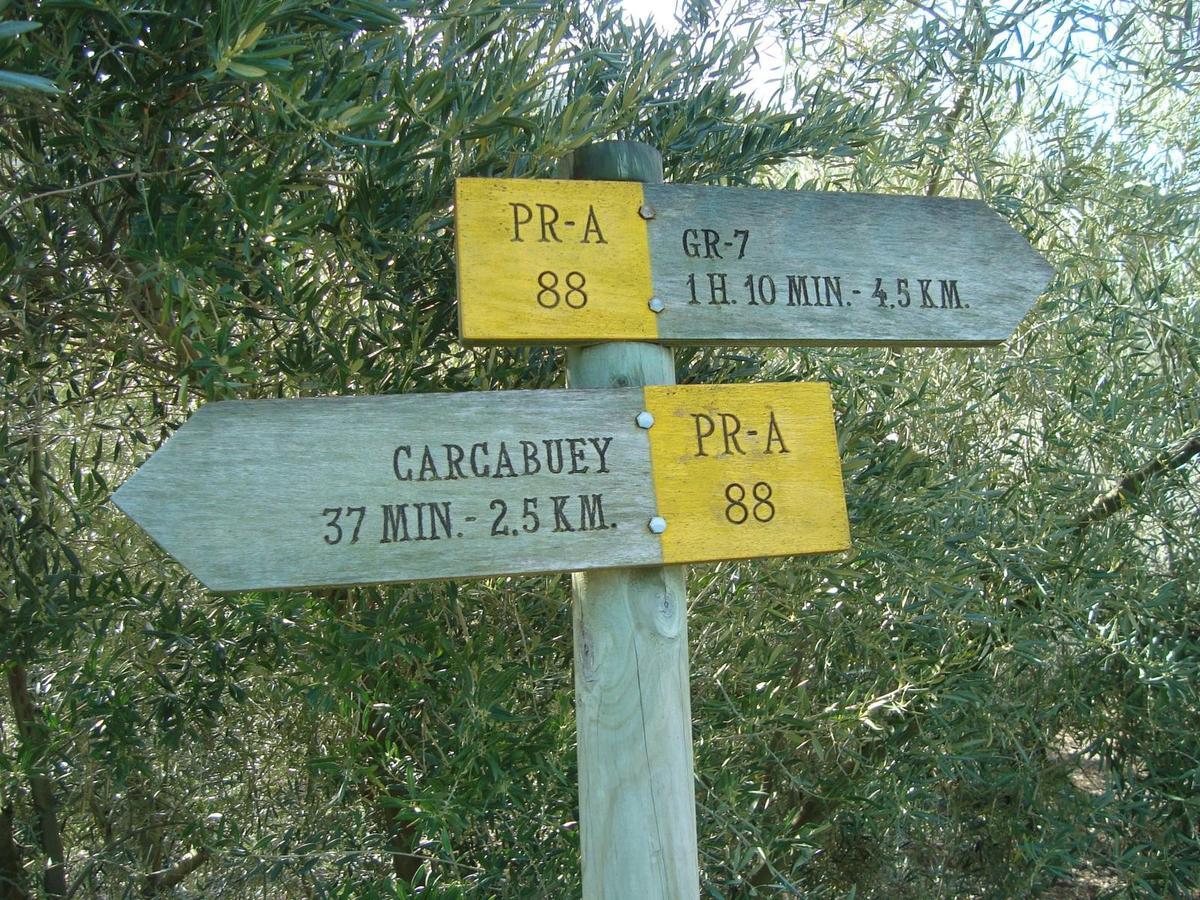 Casilla Dalea En Carcabuey, Descubre El Interior De Andalucia Villa Kültér fotó