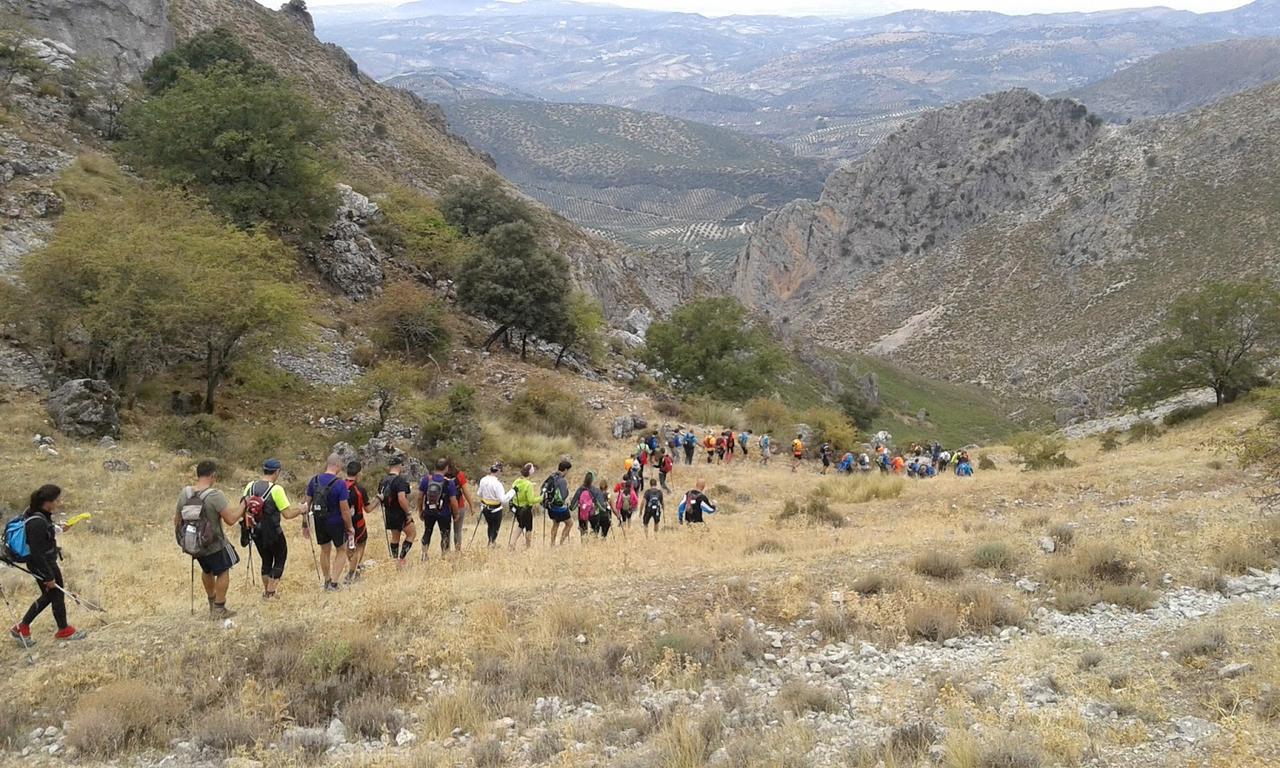 Casilla Dalea En Carcabuey, Descubre El Interior De Andalucia Villa Kültér fotó